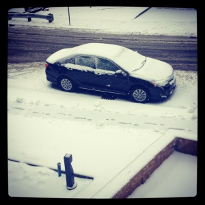 Dilemma, how to get snow off the car....